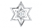 3D Ornament L champagner Star  Philippi 141018
